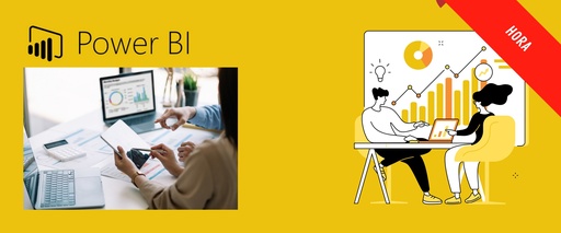 One to one Power BI consulting